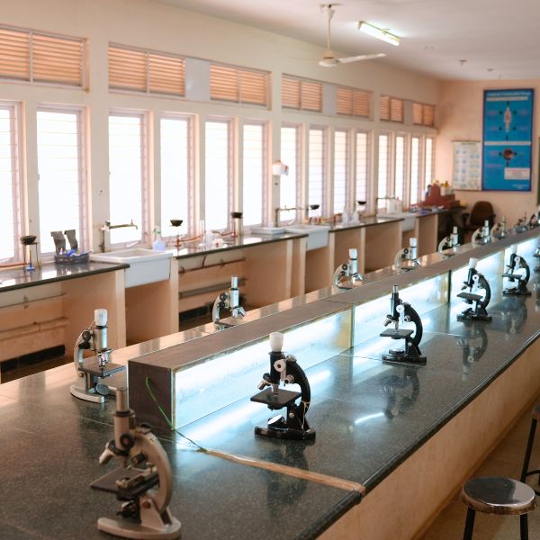 PhD pharmacology research focus areas including experimental pharmacology drug discovery toxicology and translational research